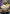 Rob Lucci (079) (Parallel) (OP07-079) - 500 Years in the Future Foil
