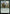 Bristly Bill, Spine Sower (Promo Pack) [Outlaws of Thunder Junction Promos] - Magic: The Gathering - Card Brawlers | Quebec | Canada |
