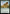 Colossal Rattlewurm (Promo Pack) [Outlaws of Thunder Junction Promos] - Magic: The Gathering - Card Brawlers | Quebec | Canada |