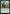 Bristly Bill, Spine Sower [Outlaws of Thunder Junction Prerelease Promos] - Magic: The Gathering - Card Brawlers | Quebec | Canada |