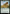 Colossal Rattlewurm [Outlaws of Thunder Junction Prerelease Promos] - Magic: The Gathering - Card Brawlers | Quebec | Canada |
