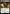 Crush Contraband (Surge Foil) [Fallout] - Magic: The Gathering - Card Brawlers | Quebec | Canada |