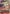 Radical Beam!! (Premium Card Collection -Best Selection Vol. 1-) (OP01-029) - One Piece Promotion Cards Foil