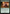 Master's Guidance [Avatar: The Last Airbender: Eternal-Legal] - Magic: The Gathering - Card Brawlers | Quebec | Canada |