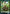 Human // Insect Double-Sided Token [Challenger Decks 2021 Tokens] - Magic: The Gathering - Card Brawlers | Quebec | Canada |