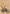 Lae'zel, Vlaakith's Champion Art Card (Gold-Stamped Signature) [Commander Legends: Battle for Baldur's Gate Art Series] - Magic: The Gathering - Card Brawlers | Quebec | Canada |