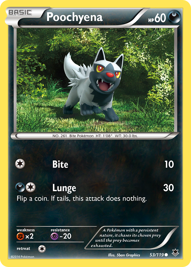 Poochyena (53/119) [XY: Phantom Forces] - Pokémon - Card Brawlers | Quebec | Canada |