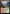 Wooded Foothills [Modern Horizons 3 Prerelease Promos] - Magic: The Gathering - Card Brawlers | Quebec | Canada |