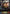 Marwynn, Omen of Repose (BP05-086EN) [Omens Eternal] - Bushiroad - Card Brawlers | Quebec | Canada |