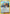Friends in Sinnoh (131/159) (2023 Staff) [Professor Program Promos] - Pokémon - Card Brawlers | Quebec | Canada |