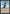 Island of Wak-Wak [Arabian Nights] - Magic: The Gathering - Card Brawlers | Quebec | Canada |