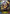 Blitz Lancer (GFB01a-017EN) [Gloryfinder Bundle 01: Guide to Glory] - Bushiroad - Card Brawlers | Quebec | Canada |