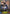 Gunner Maid Seria (GFB01a-061EN) [Gloryfinder Bundle 01: Guide to Glory] - Bushiroad - Card Brawlers | Quebec | Canada |