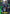 Pharrell, Exalted Blade (GFB01a-LD01EN) [Gloryfinder Bundle 01: Guide to Glory] - Bushiroad - Card Brawlers | Quebec | Canada |