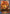 Shenlong (Evolved) (GFB01c-045EN) [Gloryfinder Bundle 01: Guide to Glory] - Bushiroad - Card Brawlers | Quebec | Canada |