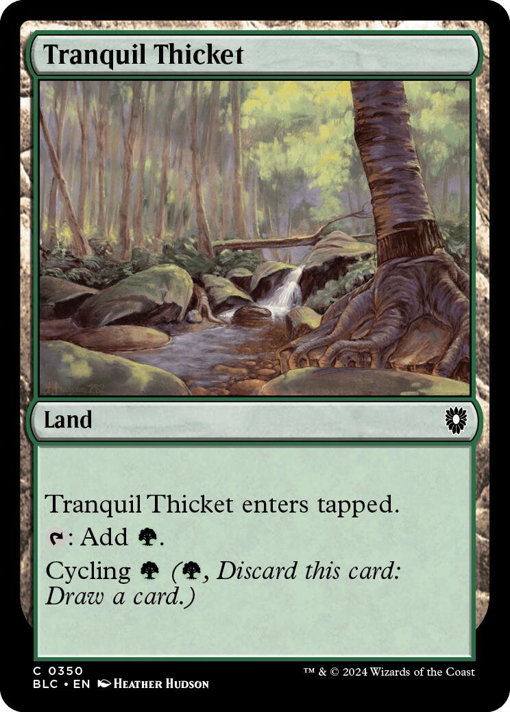 Tranquil Thicket [Bloomburrow Commander] - Magic: The Gathering - Card Brawlers | Quebec | Canada |