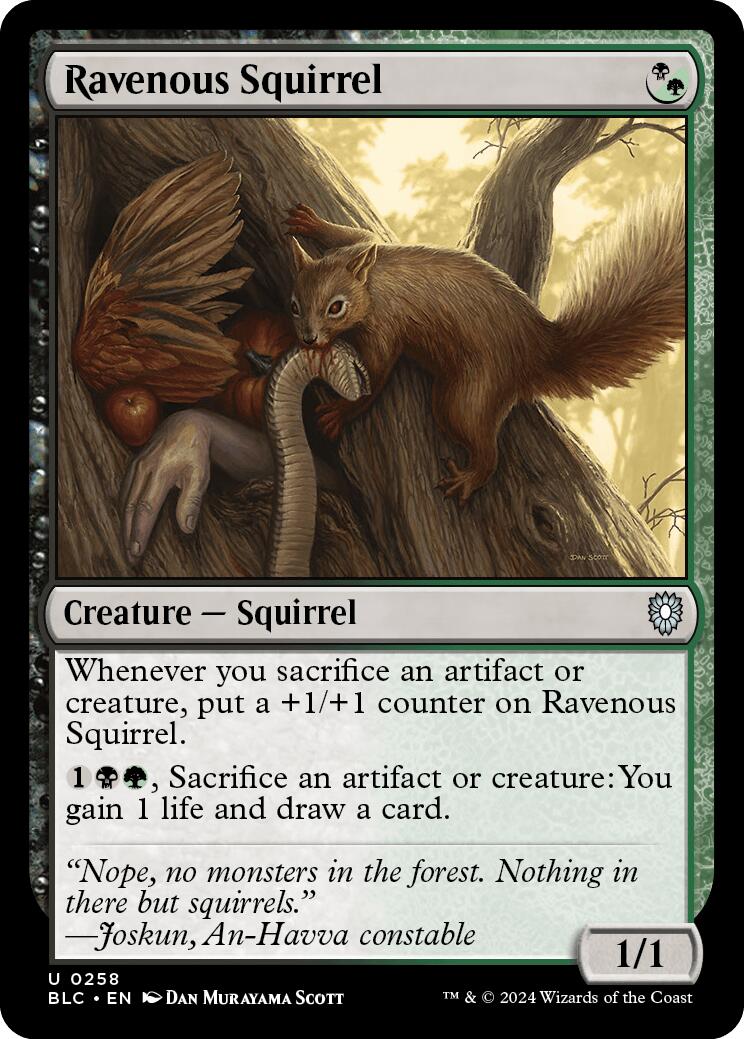 Ravenous Squirrel [Bloomburrow Commander] - Magic: The Gathering - Card Brawlers | Quebec | Canada |