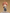Good Smile - Nendoroid Kamui - (PREORDER) December 15, 2026