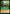 Emerald Chromicon (100/204) [Shimmering Skies] - Disney - Card Brawlers | Quebec | Canada |