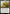 Beza, the Bounding Spring (Promo Pack) [Bloomburrow Promos] - Magic: The Gathering - Card Brawlers | Quebec | Canada |