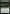 Fecund Greenshell (Promo Pack) [Bloomburrow Promos] - Magic: The Gathering - Card Brawlers | Quebec | Canada |