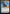 Ral, Crackling Wit (Promo Pack) [Bloomburrow Promos] - Magic: The Gathering - Card Brawlers | Quebec | Canada |