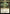 Three Tree City (Promo Pack) [Bloomburrow Promos] - Magic: The Gathering - Card Brawlers | Quebec | Canada |