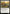 Valley Questcaller [Bloomburrow Prerelease Promos] - Magic: The Gathering - Card Brawlers | Quebec | Canada |