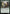 Keen-Eyed Curator [Bloomburrow Prerelease Promos] - Magic: The Gathering - Card Brawlers | Quebec | Canada |