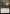 Lunar Convocation [Bloomburrow Prerelease Promos] - Magic: The Gathering - Card Brawlers | Quebec | Canada |