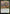 Ygra, Eater of All [Bloomburrow Prerelease Promos] - Magic: The Gathering - Card Brawlers | Quebec | Canada |