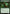 Hardy Veteran [Mystery Booster] - Magic: The Gathering - Card Brawlers | Quebec | Canada |