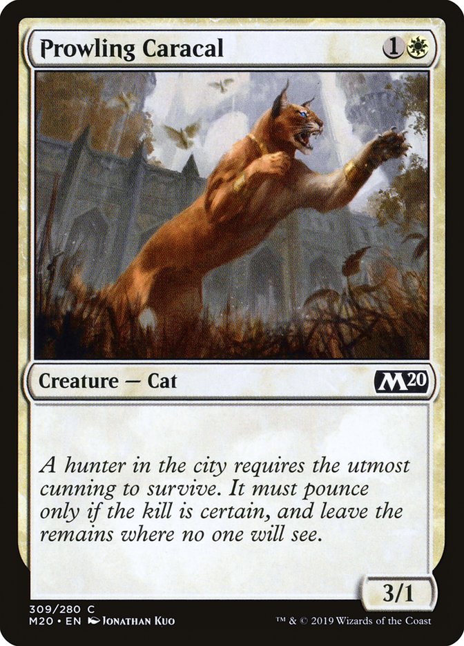Prowling Caracal [Core Set 2020] - Magic: The Gathering - Card Brawlers | Quebec | Canada |