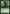 Glistener Elf [Friday Night Magic 2012] - Magic: The Gathering - Card Brawlers | Quebec | Canada |