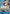 Marco (Two Legends Pre-Release Winner) (P-071) - One Piece Promotion Cards Foil