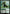 Beanstalk Giant [Duskmourn: House of Horror Commander] - Magic: The Gathering - Card Brawlers | Quebec | Canada |
