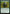 Overwhelming Stampede [Duskmourn: House of Horror Commander] - Magic: The Gathering - Card Brawlers | Quebec | Canada |