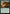 Trail of Mystery [Duskmourn: House of Horror Commander] - Magic: The Gathering - Card Brawlers | Quebec | Canada |