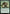 Yavimaya Elder [Duskmourn: House of Horror Commander] - Magic: The Gathering - Card Brawlers | Quebec | Canada |