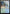 Yavimaya Coast [Duskmourn: House of Horror Commander] - Magic: The Gathering - Card Brawlers | Quebec | Canada |