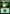 Forest (40) [Global Series Jiang Yanggu & Mu Yanling] - Magic: The Gathering - Card Brawlers | Quebec | Canada |