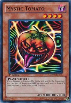 Mystic Tomato [SDDC-EN016] Common - Yu-Gi-Oh! - Card Brawlers | Quebec | Canada |