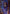 Spider Art Card [Duskmourn: House of Horror Art Series] - Magic: The Gathering - Card Brawlers | Quebec | Canada |