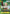 Roronoa Zoro (CS 2024 Event Pack) (P-042) - One Piece Promotion Cards Foil