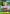 Roronoa Zoro (CS 2024 Event Pack Finalist) (P-042) - One Piece Promotion Cards Foil