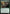 Balustrade Wurm [Duskmourn: House of Horror Prerelease Promos] - Magic: The Gathering - Card Brawlers | Quebec | Canada |