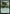 Omnivorous Flytrap [Duskmourn: House of Horror Prerelease Promos] - Magic: The Gathering - Card Brawlers | Quebec | Canada |
