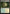 Hushwood Verge [Duskmourn: House of Horror Prerelease Promos] - Magic: The Gathering - Card Brawlers | Quebec | Canada |
