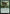Omnivorous Flytrap (Promo Pack) [Duskmourn: House of Horror Promos] - Magic: The Gathering - Card Brawlers | Quebec | Canada |