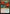 Peer Past the Veil (Promo Pack) [Duskmourn: House of Horror Promos] - Magic: The Gathering - Card Brawlers | Quebec | Canada |